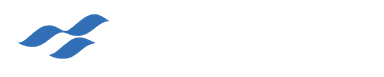 Husum VVS logo