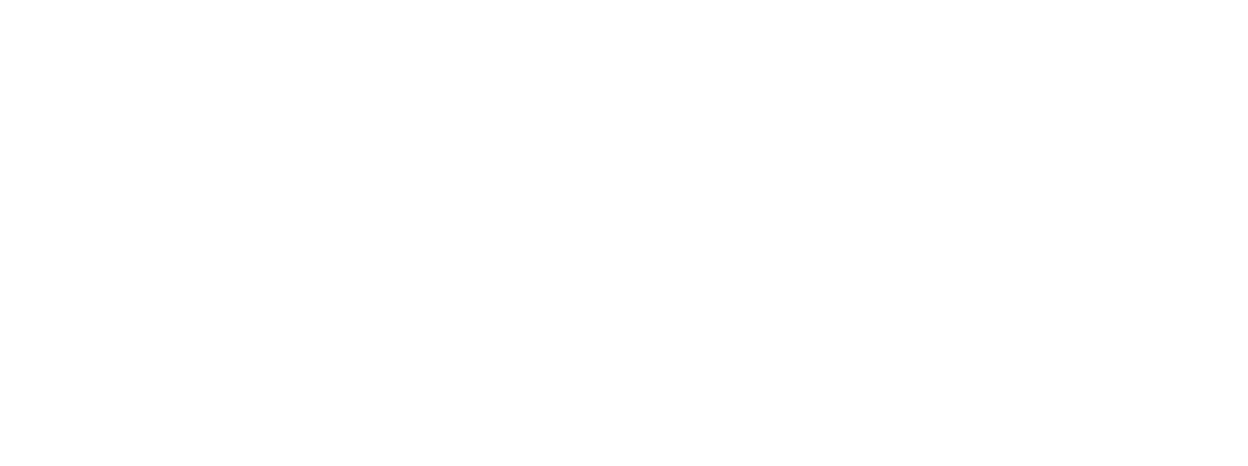 DKM byg Bornholm logo