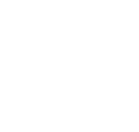VVS-Vagterne logo