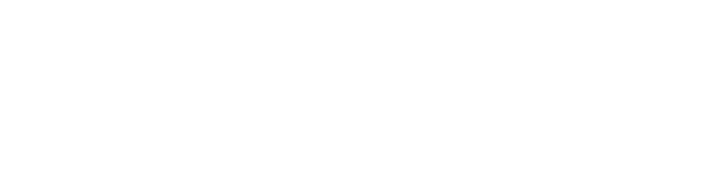 Blikon ApS logo