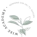 WISE Academy/Bjerre Studio logo