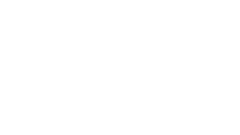 Dansk Skruefundament logo