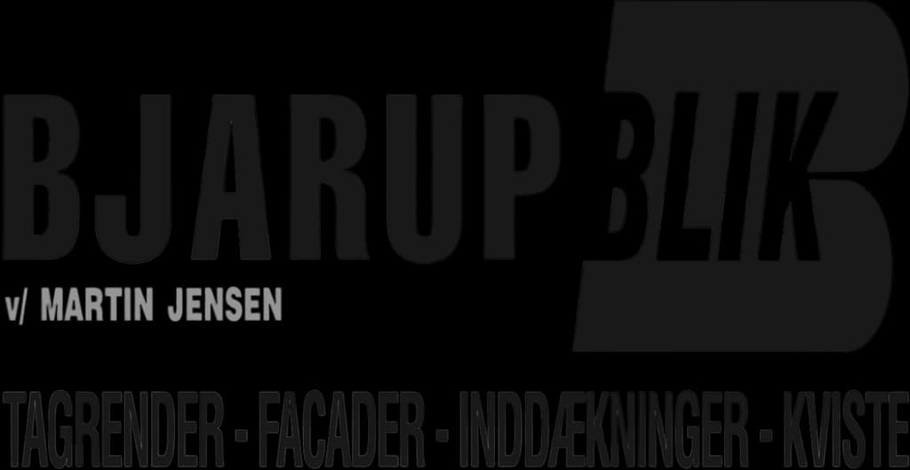 Bjarup Blik v/Martin Jensen logo