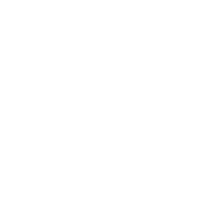 LS El ApS logo