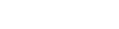 Intego A/S logo