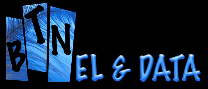 Bjarne Thye, El & Data logo