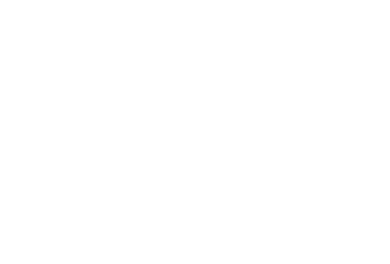 NOE Net A/S logo