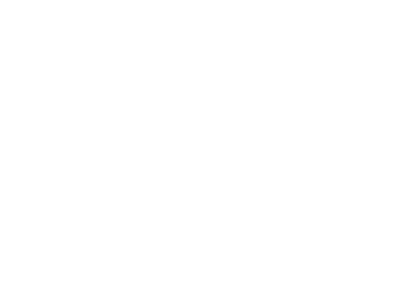 Brand Lane ApS logo