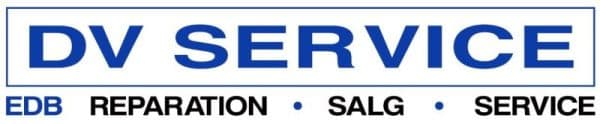 DV SERVICE logo