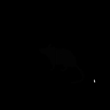 Skadedyrsvagten logo
