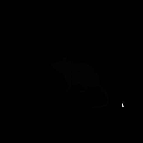 Skadedyrsvagten logo