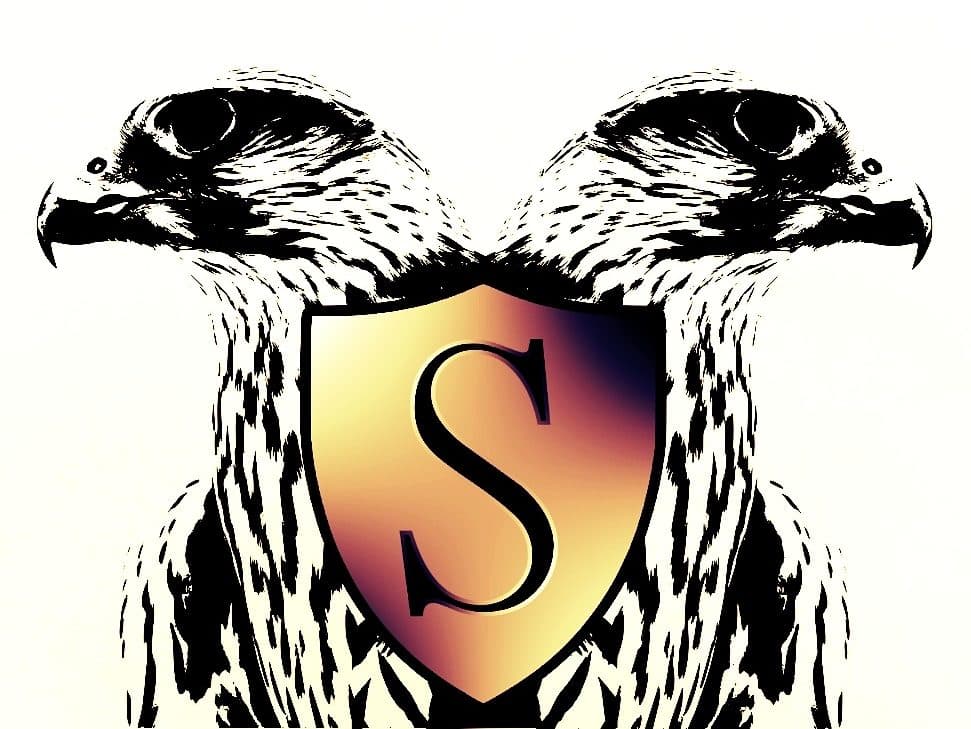Slagfalken logo