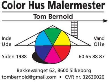 Color Hus Malermester logo