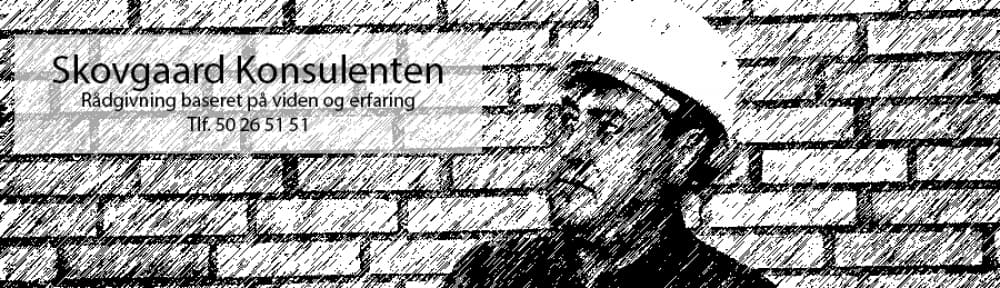 Skovgaard-Konsulenten v/Allan Skovgaard Jessen logo