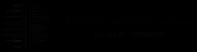 AARIS HAANDVÆRK ApS logo