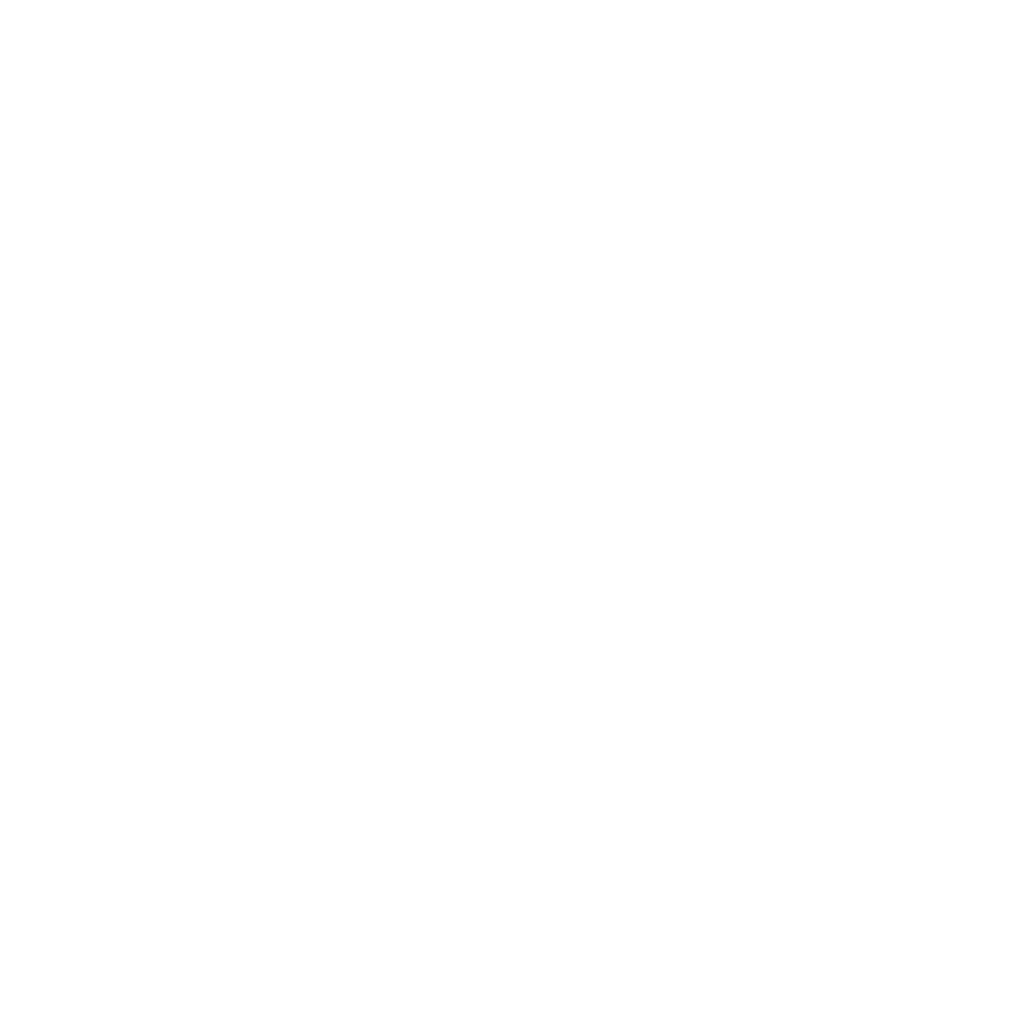 DS Tømrerfirma ApS logo