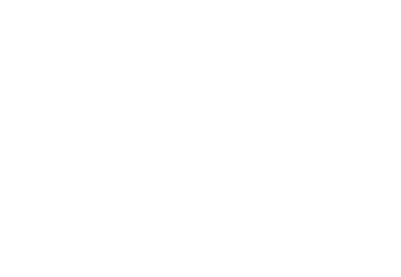 Sonne-byg ApS logo