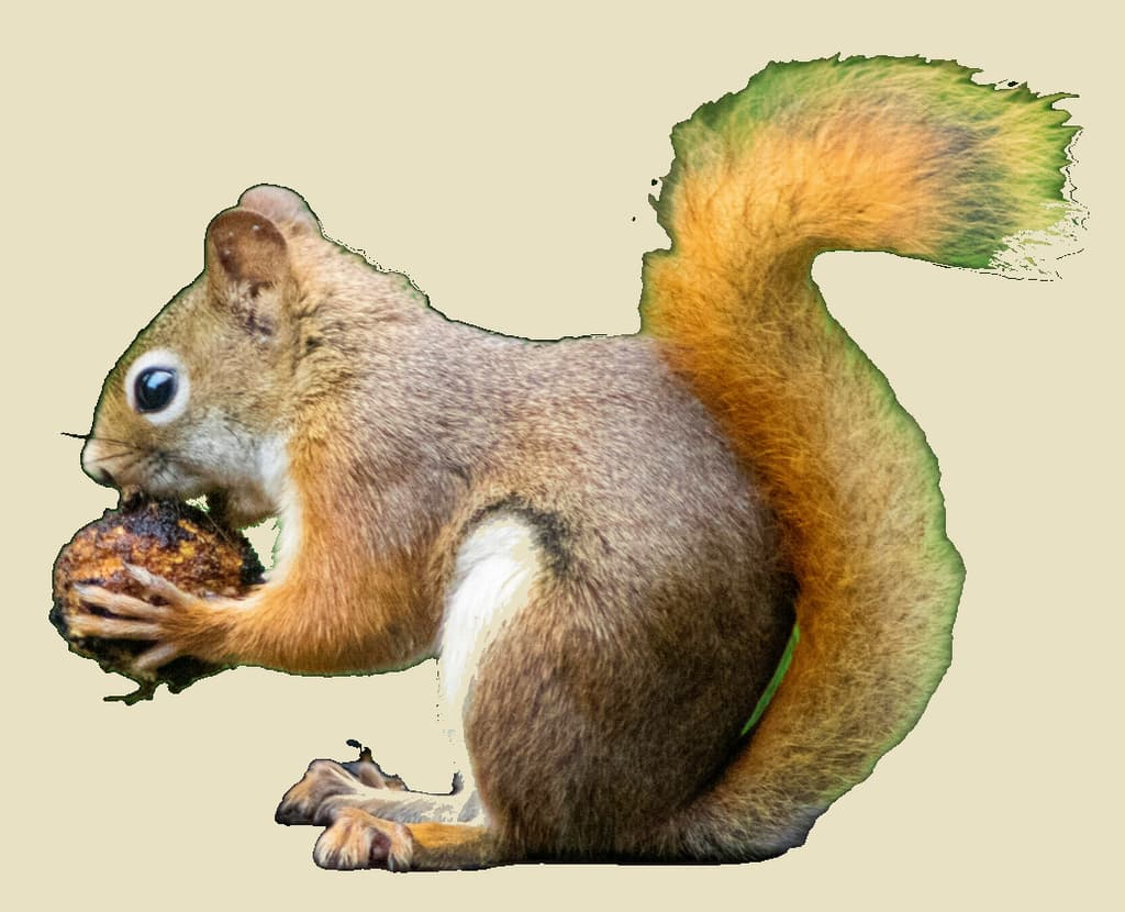 LIVSSTILSHUSE ApS logo