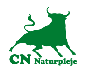 CN Solution logo