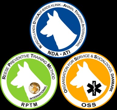 RPTM International ApS logo