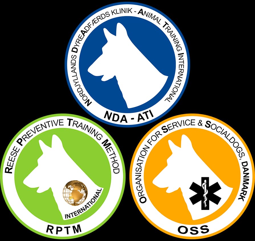 RPTM International ApS logo