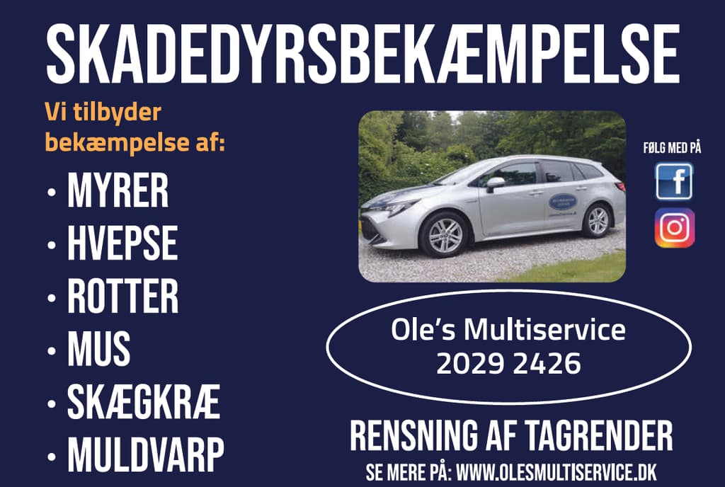 Ole's Multiservice logo