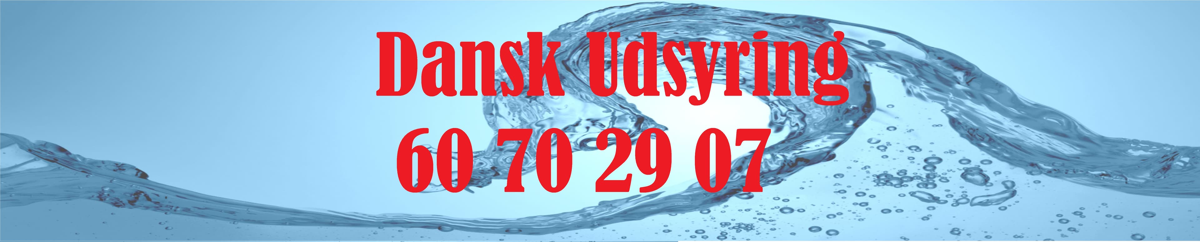 Dansk Udsyring ApS logo