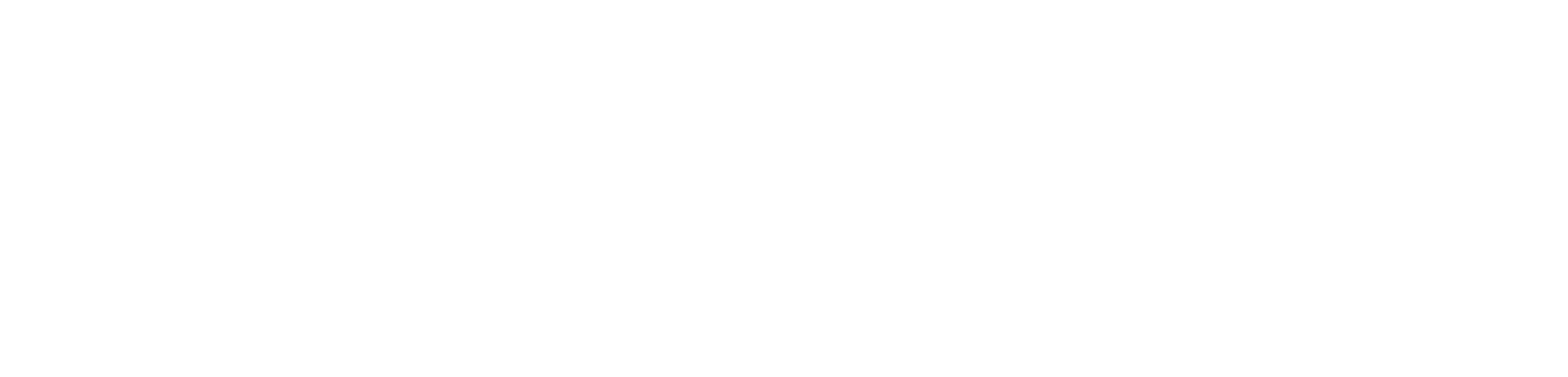 TN-VVS logo