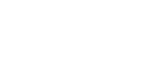 Arne Bach Pedersen VVS logo