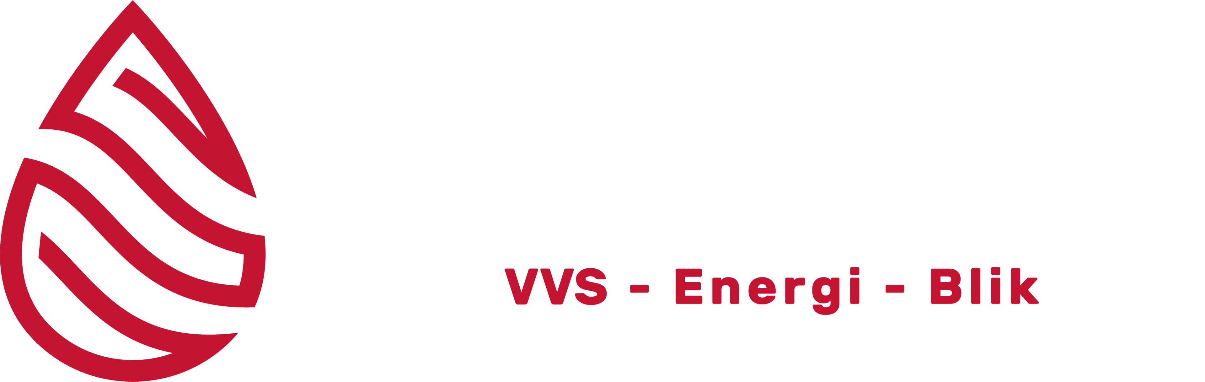 AKN VVS logo