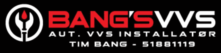 Bangsvvs logo