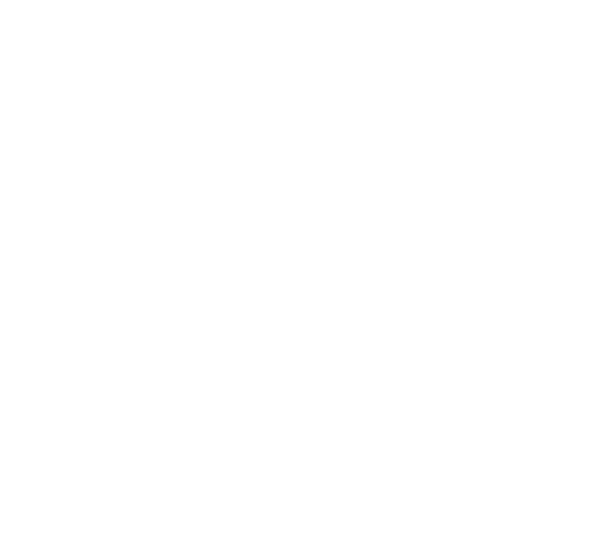 NS Tømrer ApS logo