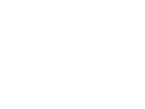 TØMRERIET ApS logo