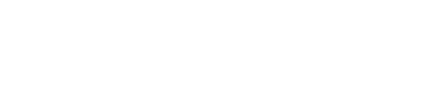 Vvsdeluxe logo